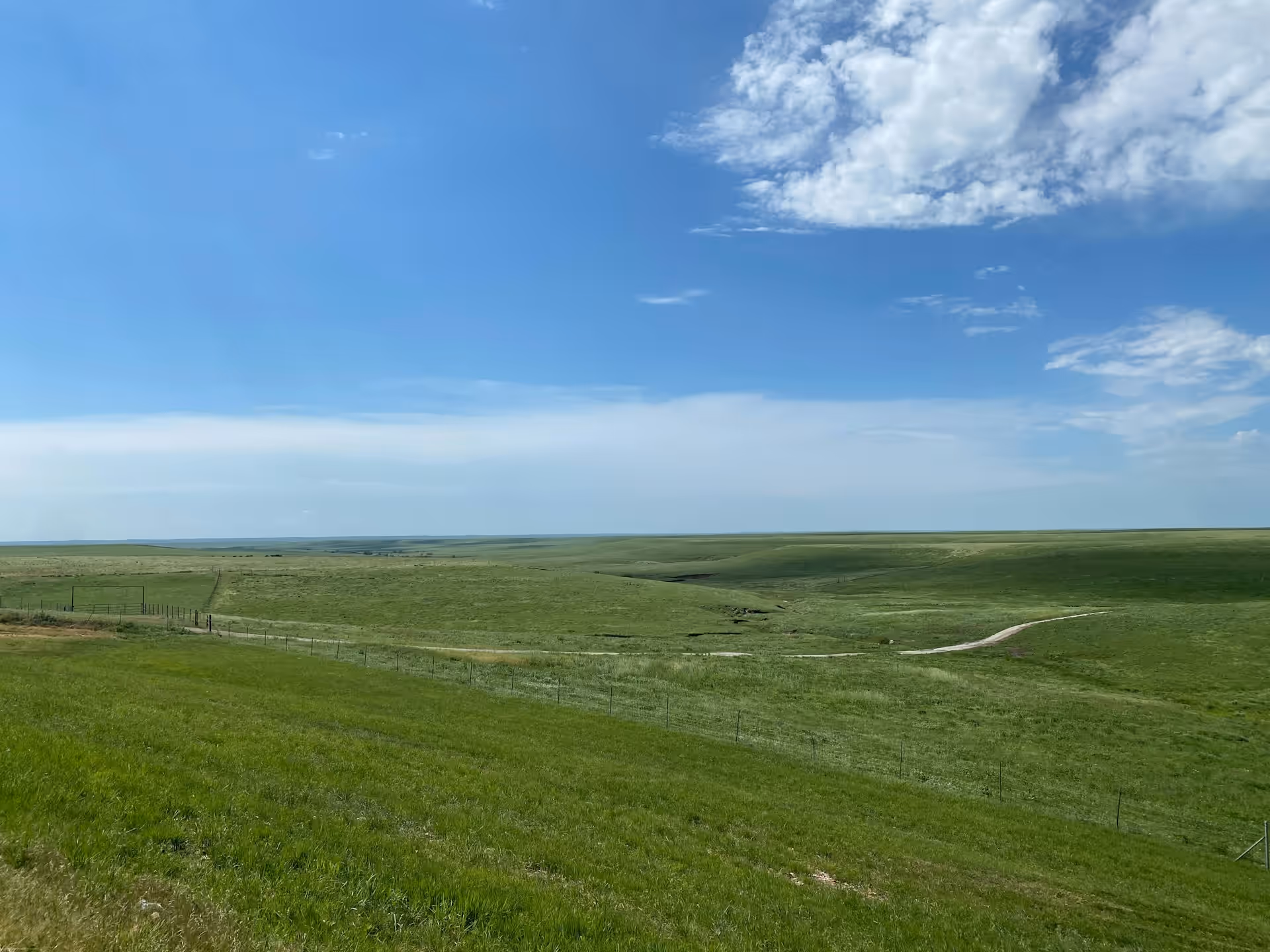 Tallgrass prairie in the Kansas Flint Hills